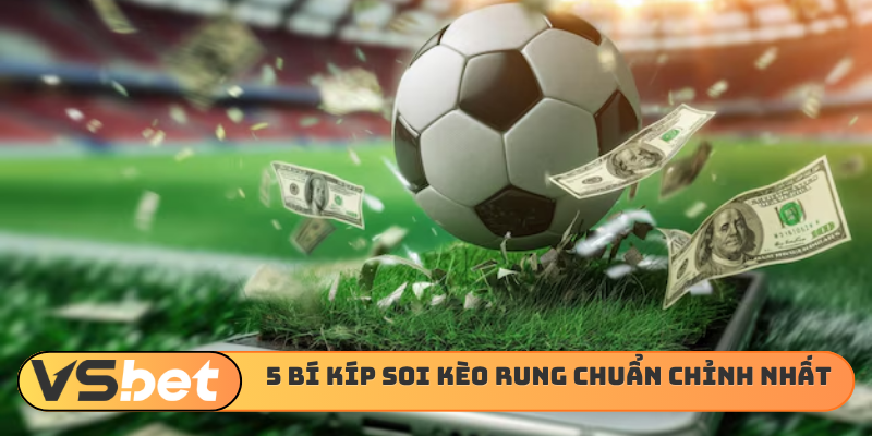 5 bí kíp soi kèo rung chuẩn chỉnh nhất