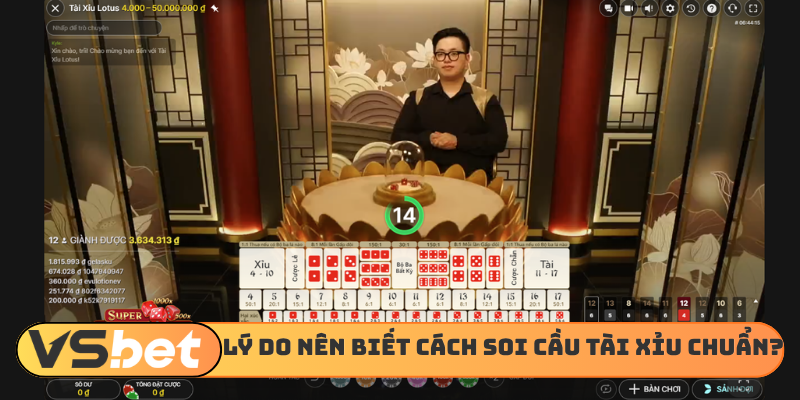 Lý do nên biết cách soi cầu tài xỉu chuẩn?