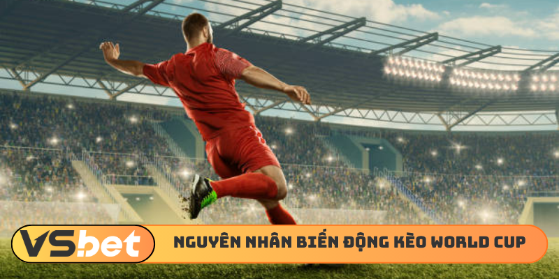 Nguyên nhân của biến động kèo World Cup